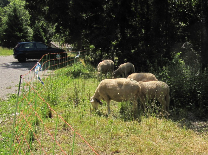 Parkplatz auf der Heidialp 5