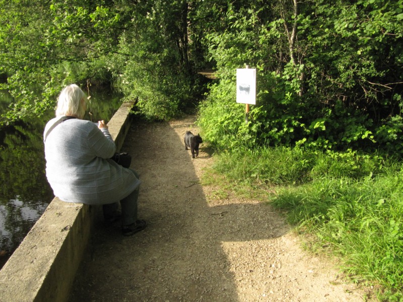 Bilder vom Campingplatz Buchweiher 6