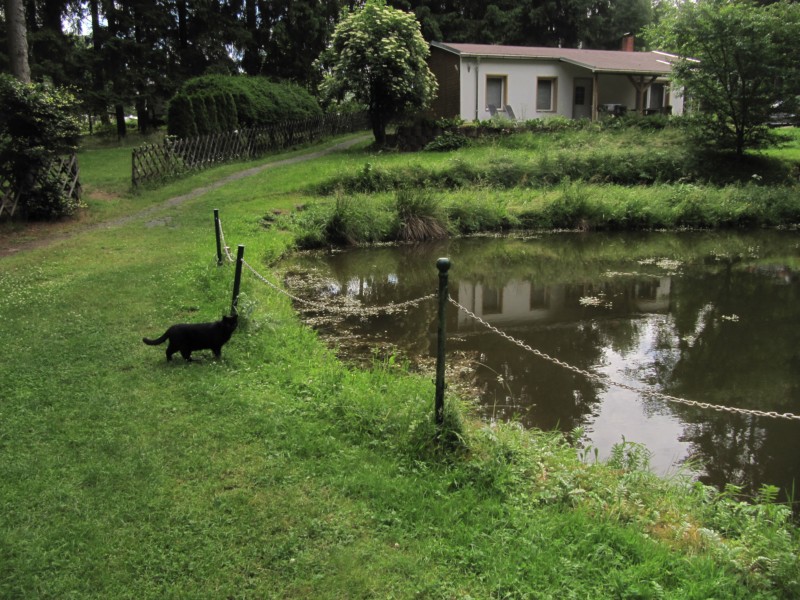 Bilder vom Campingplatz Finsterbergen 4