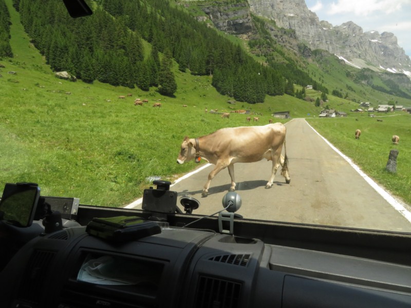 Bilder von der Fahrt über die Klausenstraße 11