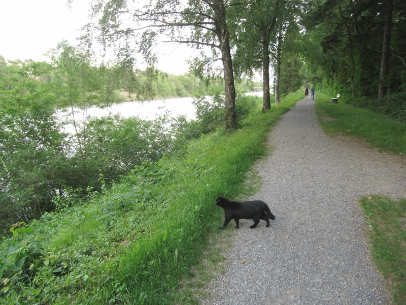 Bilder vom Campingplatz Bad Ragaz 8