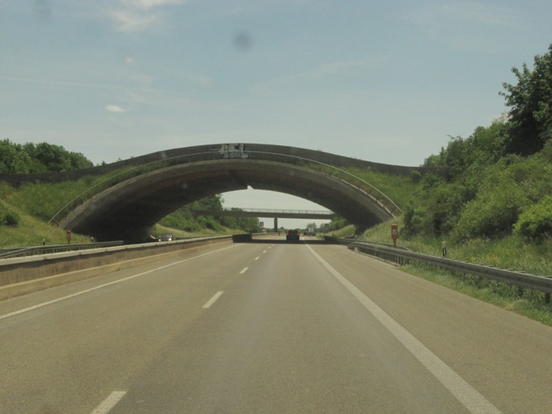 Grün-Brücke über die Autobahn