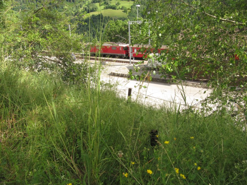 Bilder vom Campingplatz Sumvitg 1