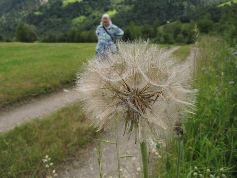 Die Wanderung nach Sumvitg 21