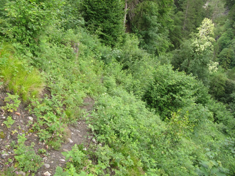 Gang nach Valendas zum Dorfladen 2