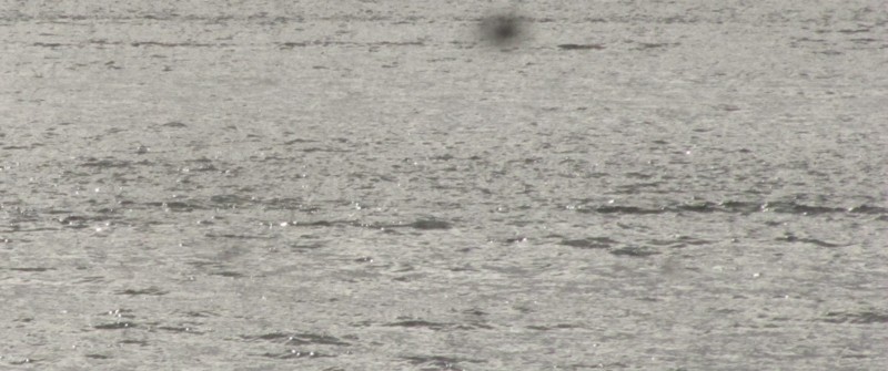 Am Chanonry Lighthouse 3