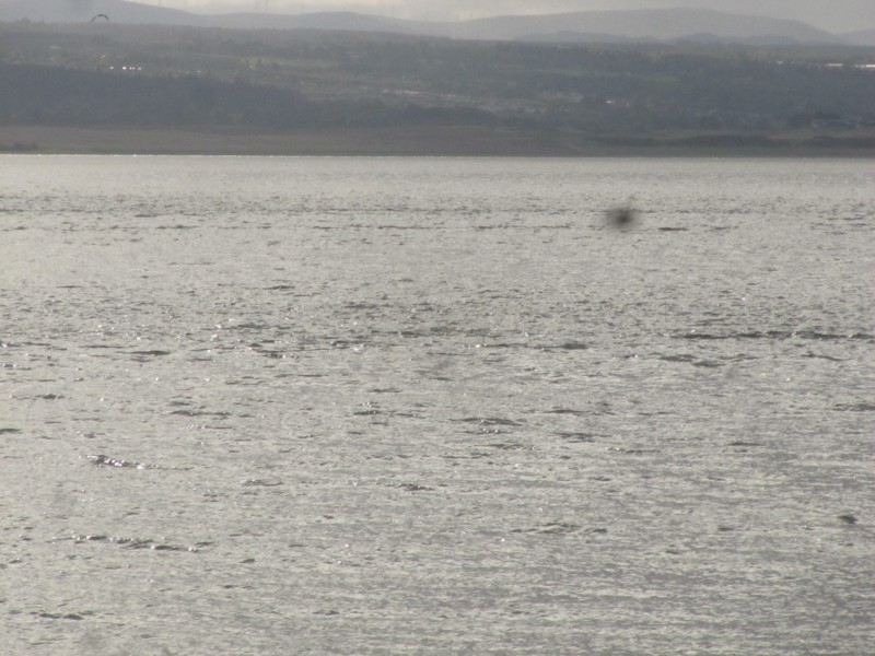 Am Chanonry Lighthouse 2