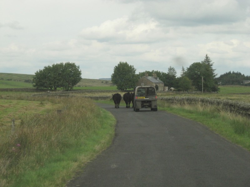 Fahrt Hadrianswall-Richmond und zurück 9