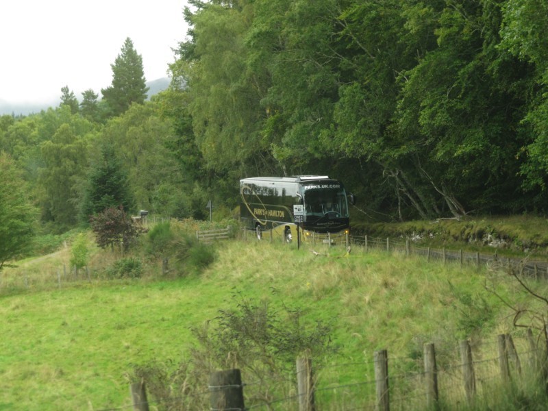 Reisebus auf schmaler Straße