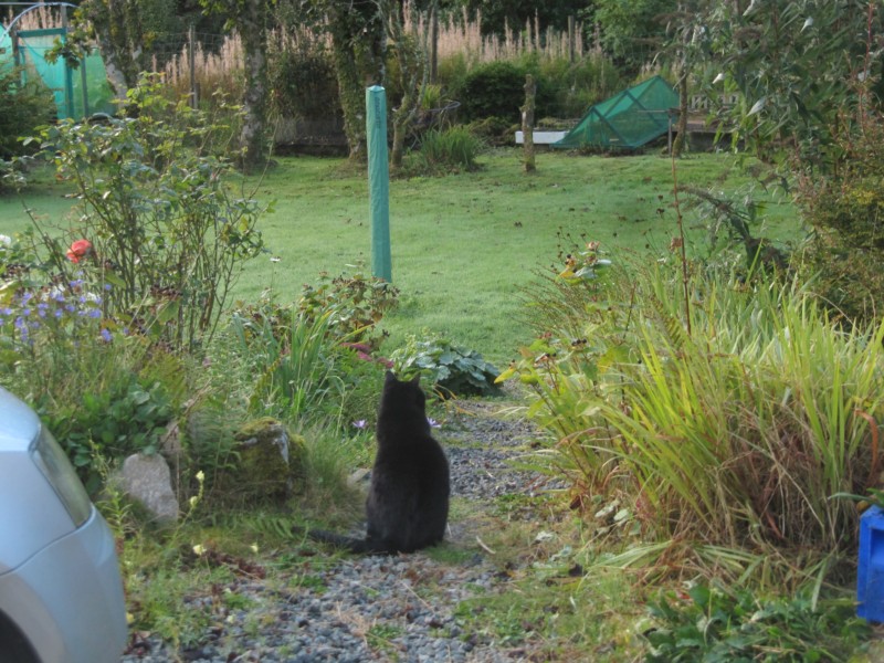 Besuch bei Freunden 4