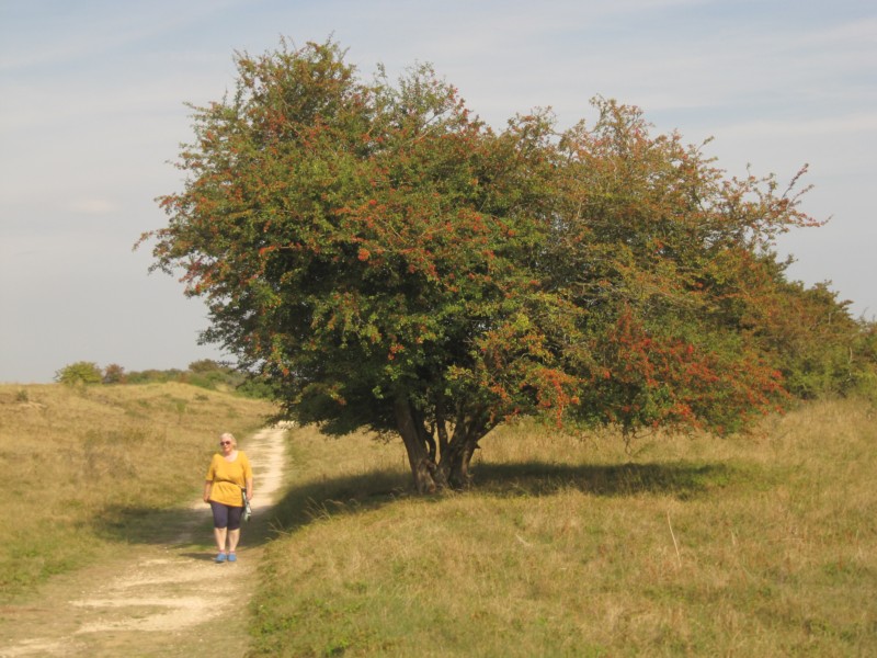 Bilder aus dem Naturschutzgebiet 5