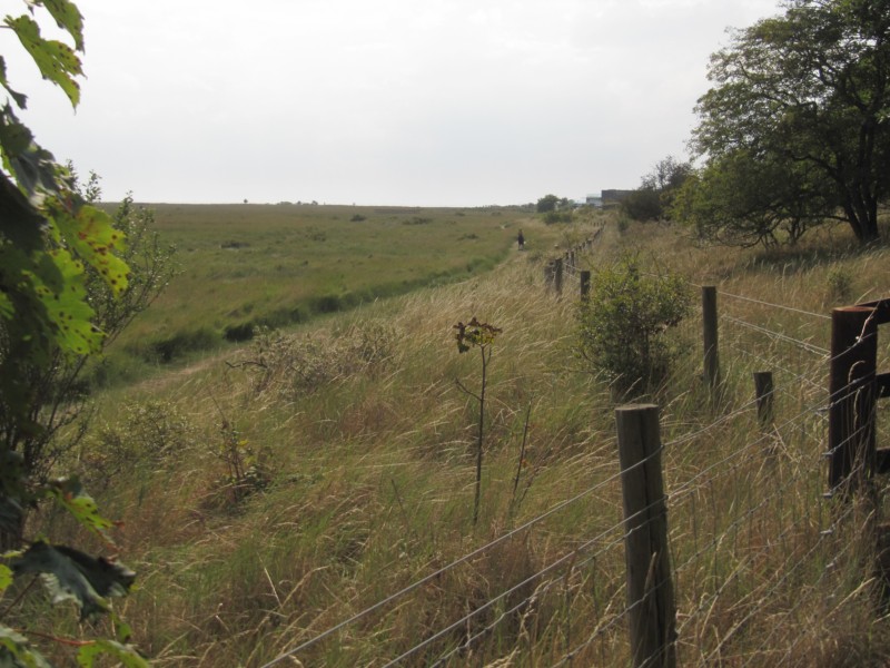 Bilder aus dem Naturschutzgebiet 6