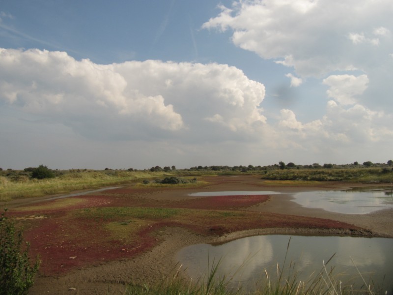 Bilder aus dem Naturschutzgebiet 8