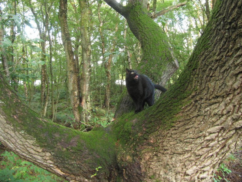 Bilder vom Campingplatz in der Heide 2