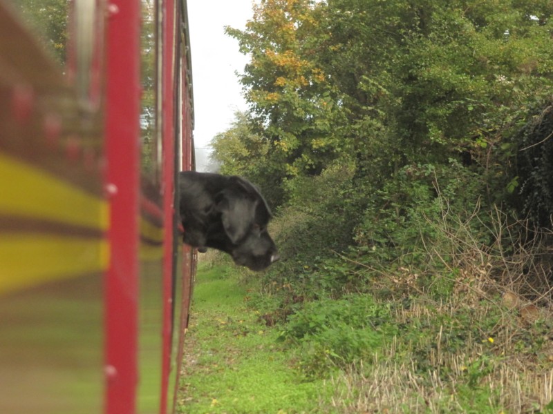 Romney, Hythe and Dymchurch Railway 16