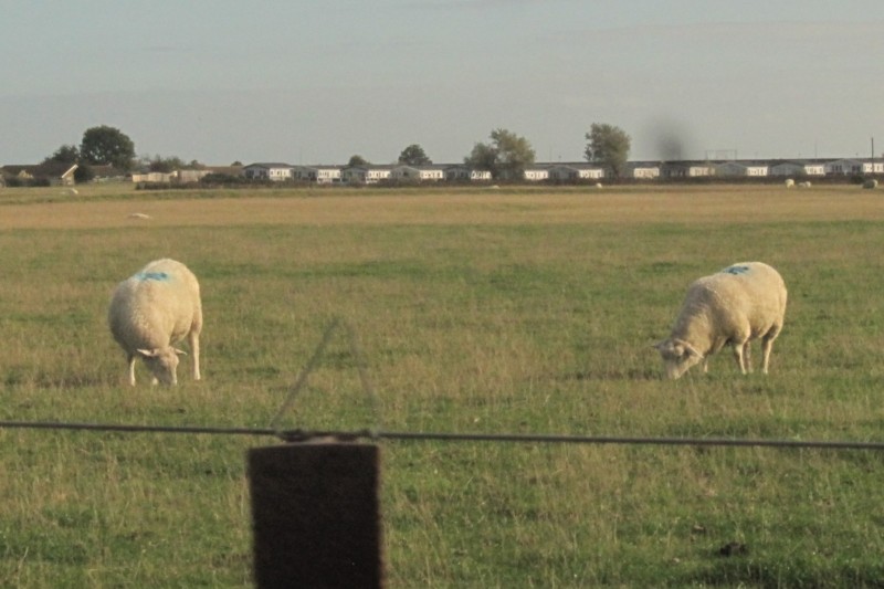 Romney, Hythe and Dymchurch Railway 13