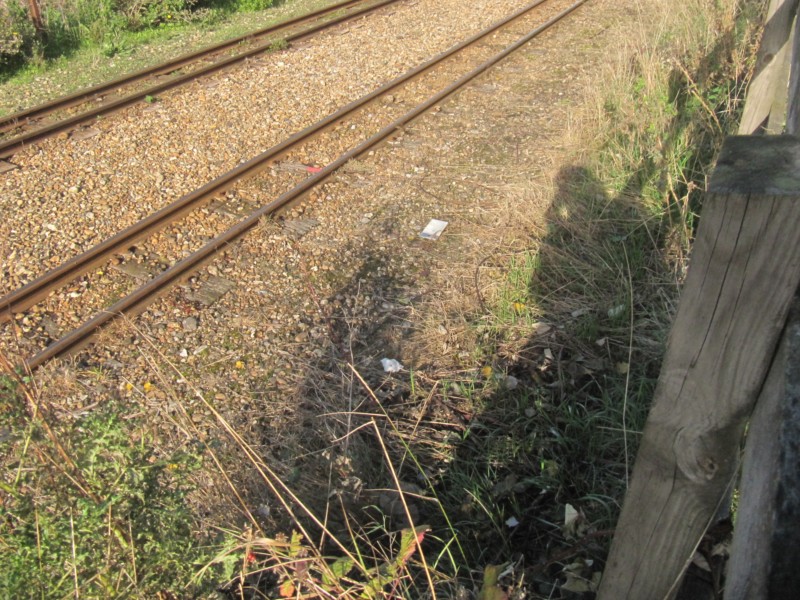 Romney, Hythe and Dymchurch Railway Handy 2