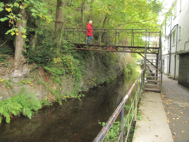 Llangollen Horseshoe-Falls 4