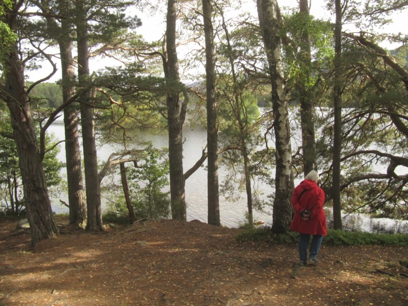 Loch an Eilein 5