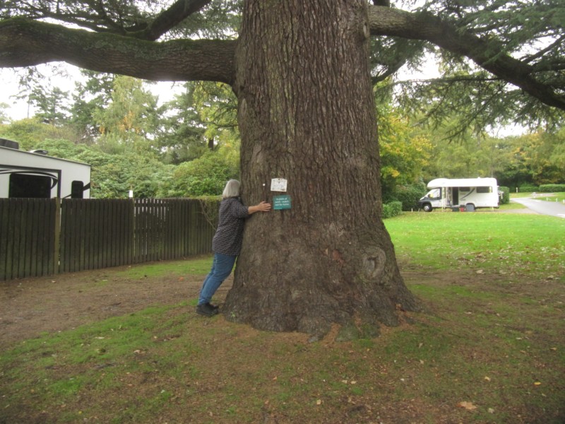 Der Park von Normanhurst Court 1