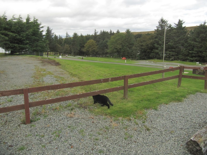 Bilder von Staffin Campsite 2