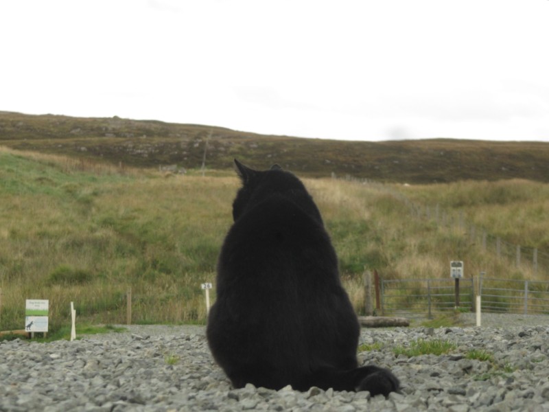 Bilder von Staffin Campsite 4