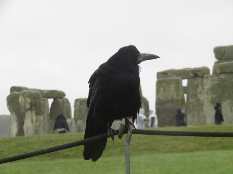 Bilder von Stonehenge 20