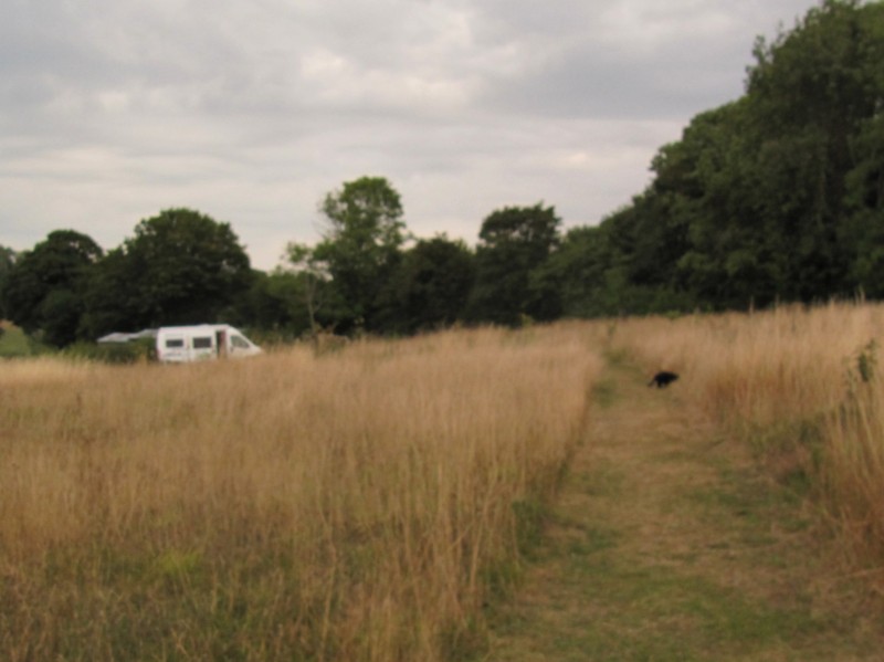 Bilder vom Campingplatz Sunny Field 6