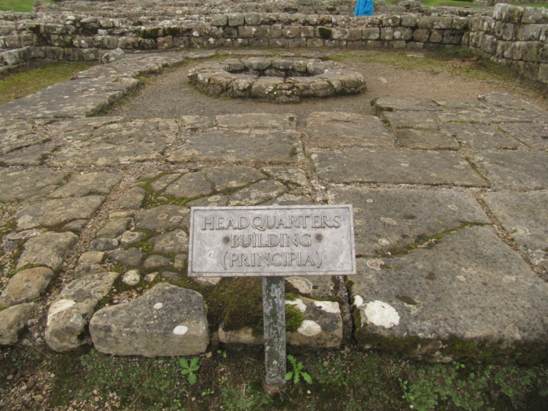 Bilder vom Museum Vindolanda 7