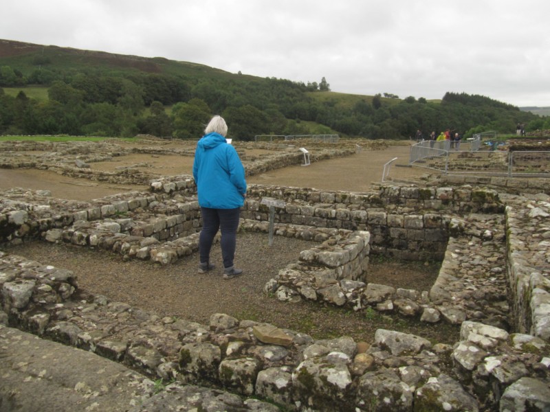 Bilder vom Museum Vindolanda 8