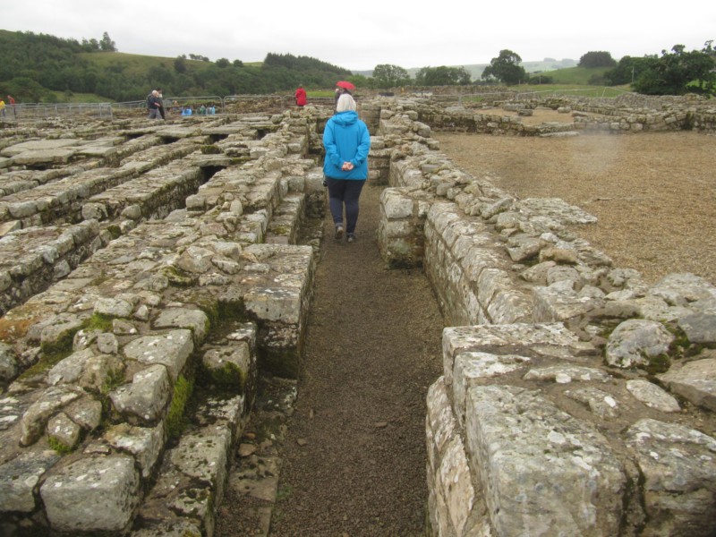 Bilder vom Museum Vindolanda 10