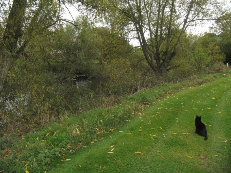 Bilder vom Campingplatz bei Welshpool 2