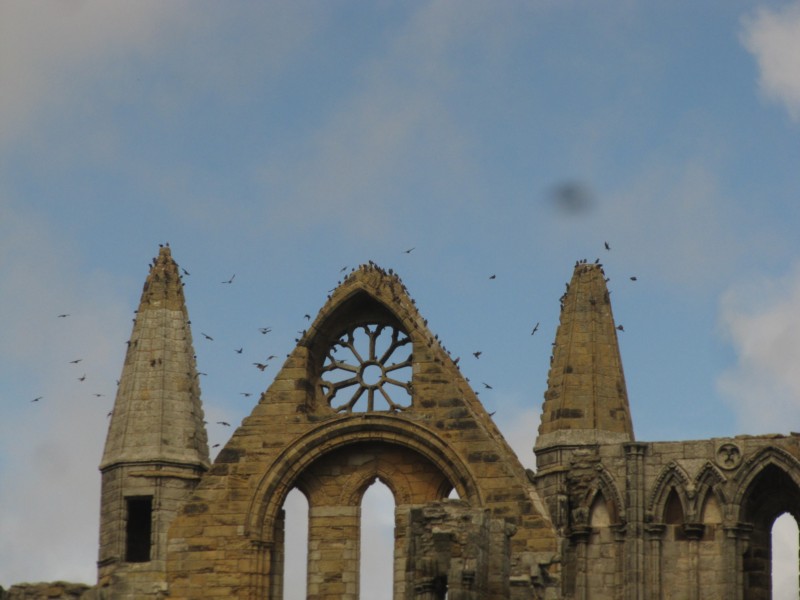 Bilder von Whitby Abbey 10