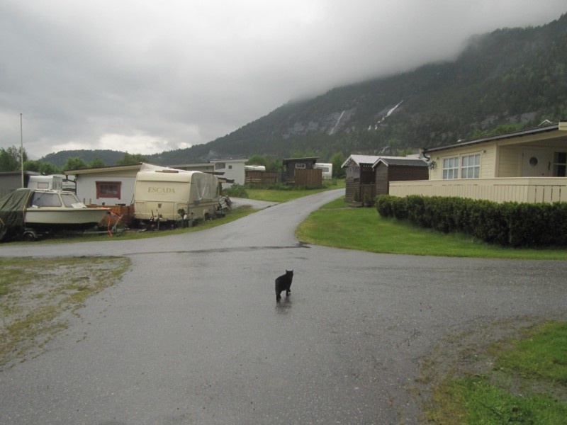 Bilder vom Campingplatz Aurstad 2