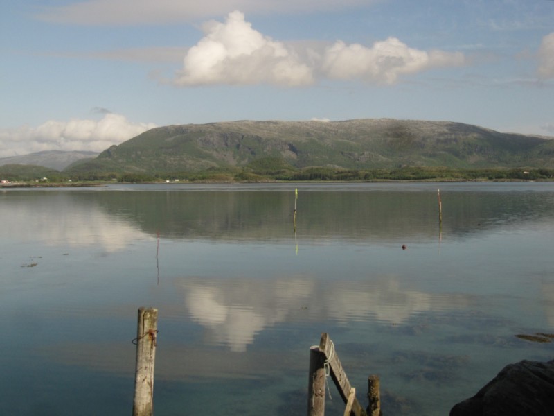 Bilder vom Campingplatz Björnvika Naturcenter 6