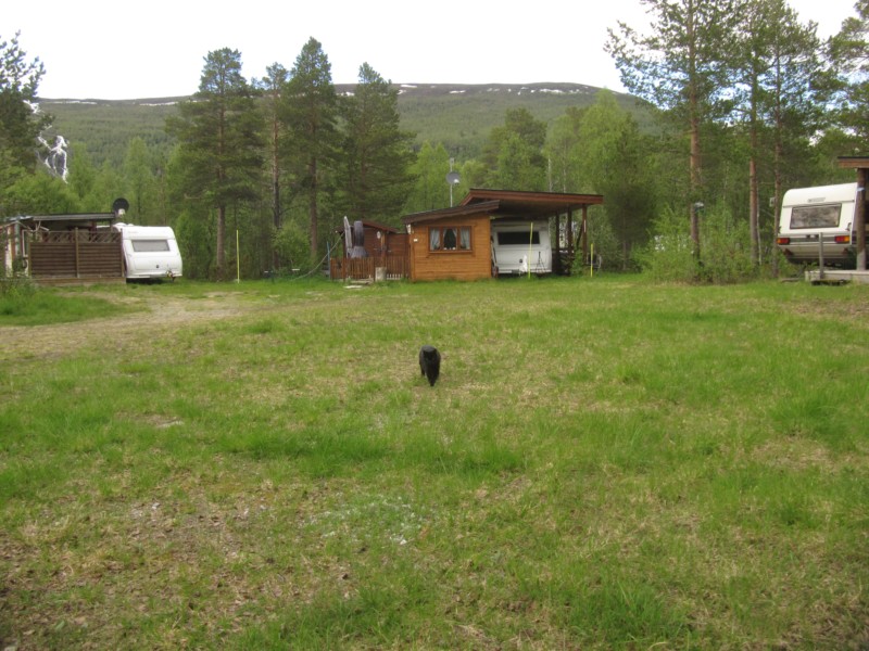 Bilder vom Campingplatz Elvmöthei Fjellgard 7