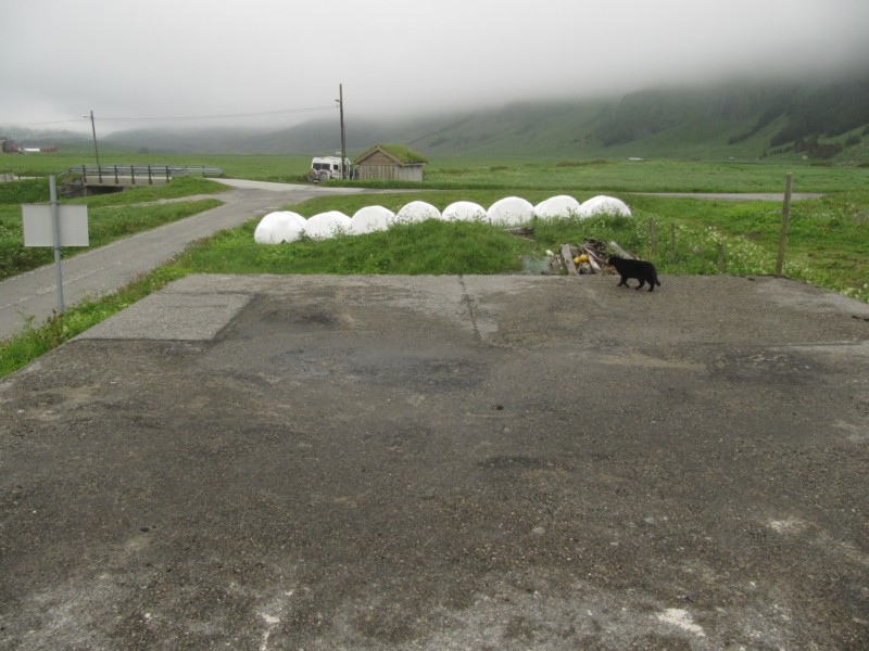 Bilder vom Campingplatz Ervik 20