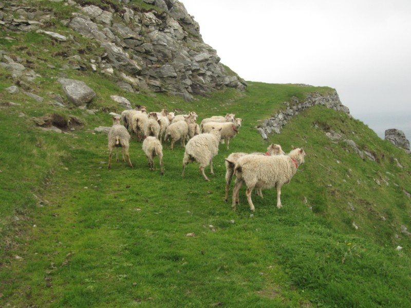 Erkundung Küstenfort Ervik 6