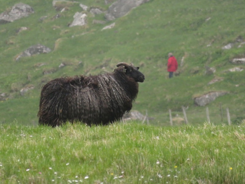 Erkundung Küstenfort Ervik 26