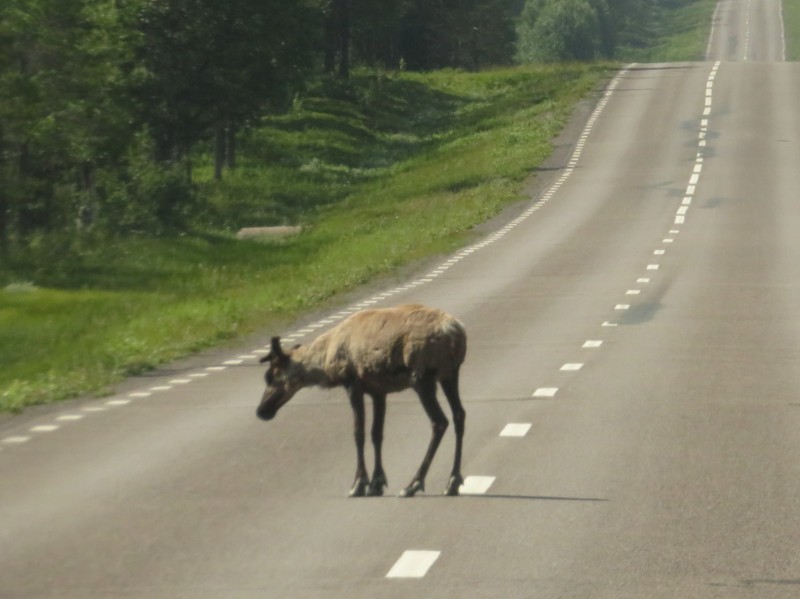 Fahrt von Aspnaes nach Vojman 5