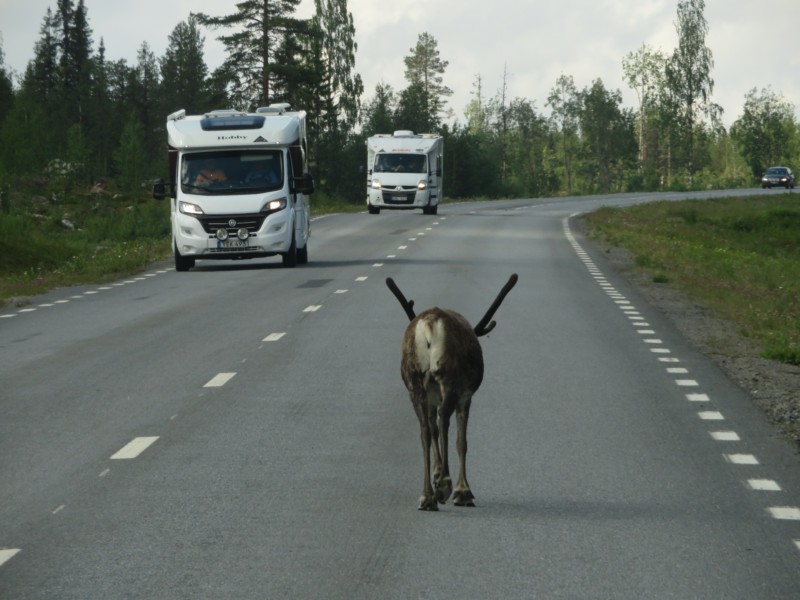 Fahrt von Aspnaes nach Vojman 13