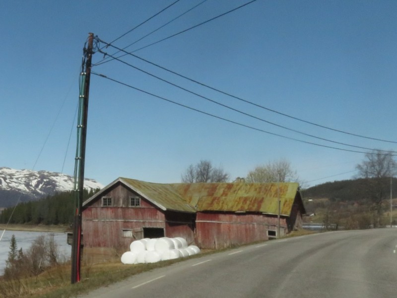 Bilder von einer Fahrt 7