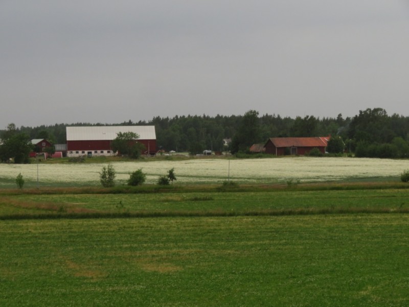 Fahrt von Mora nach Kyrkekvarn 3