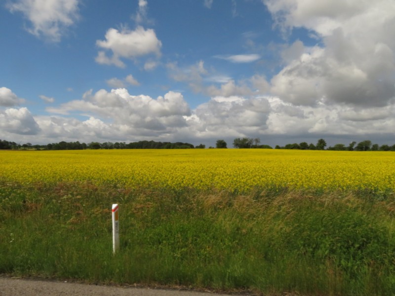 Fahrt von Seeland zum Platz Hohner Fähre 10