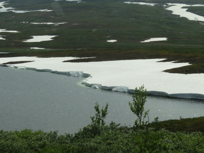 Fahrt von Fauske nach Arjeplog 11