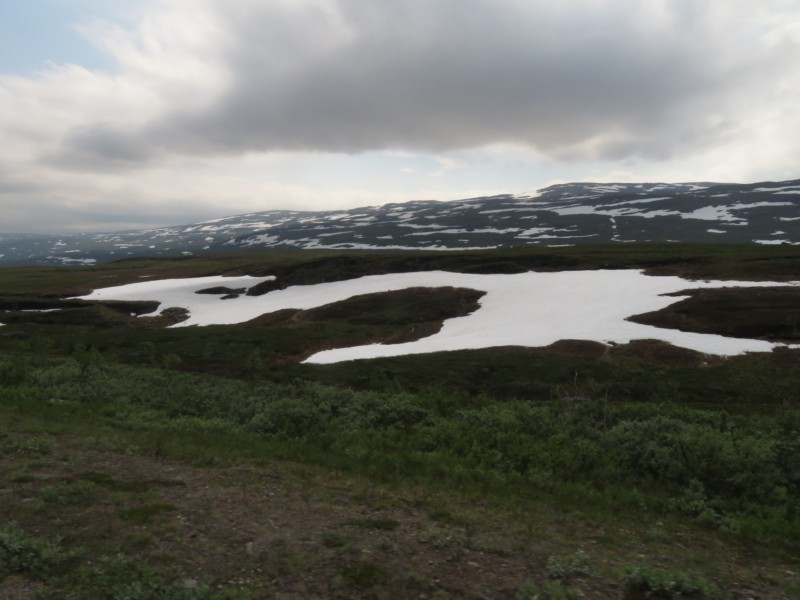 Fahrt von Fauske nach Arjeplog 9