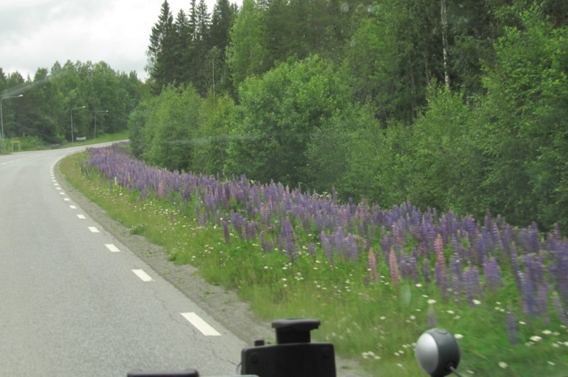 Fahrt von Vojman nach Mora 3