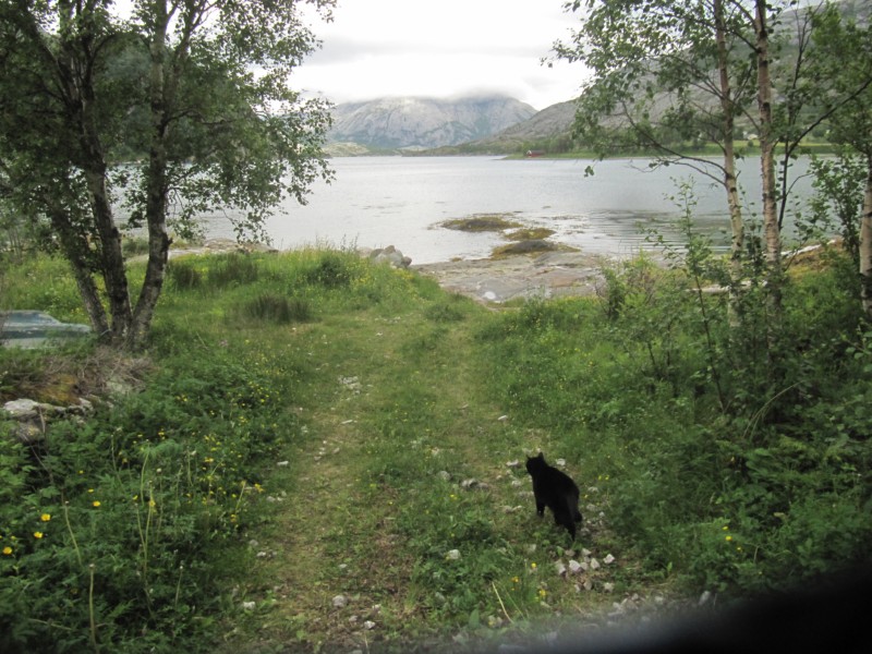 Bilder vom Campingplatz Kjellingstraumen 1