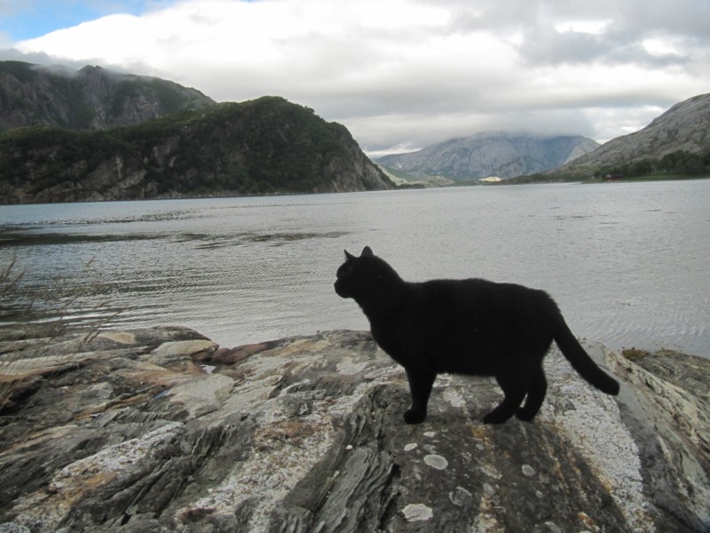 Bilder vom Campingplatz Kjellingstraumen 1