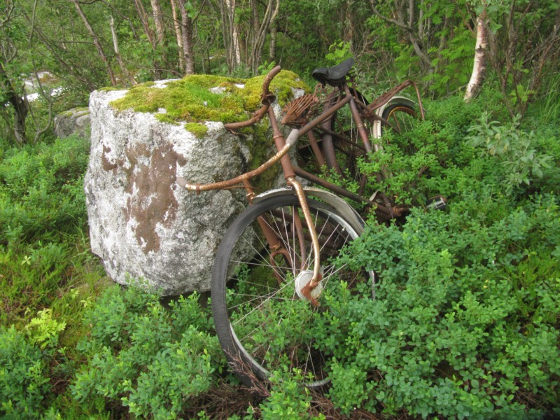 Bilder vom Campingplatz Kjellingstraumen 1